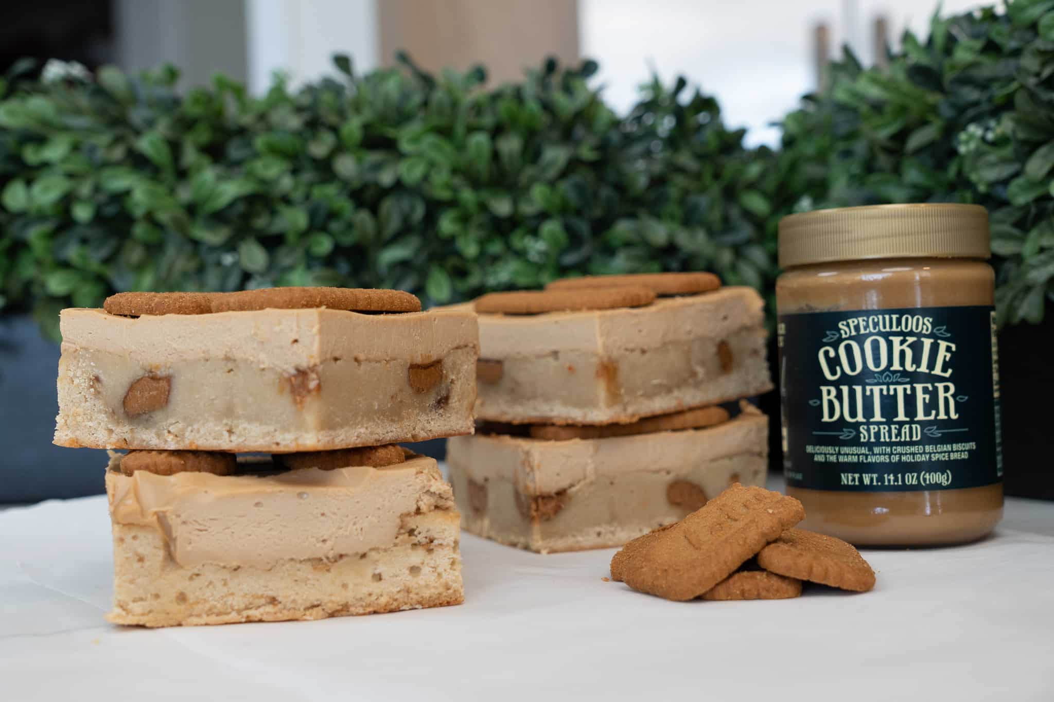 Macro Friendly Biscoff Blondie Cheesecake Bars