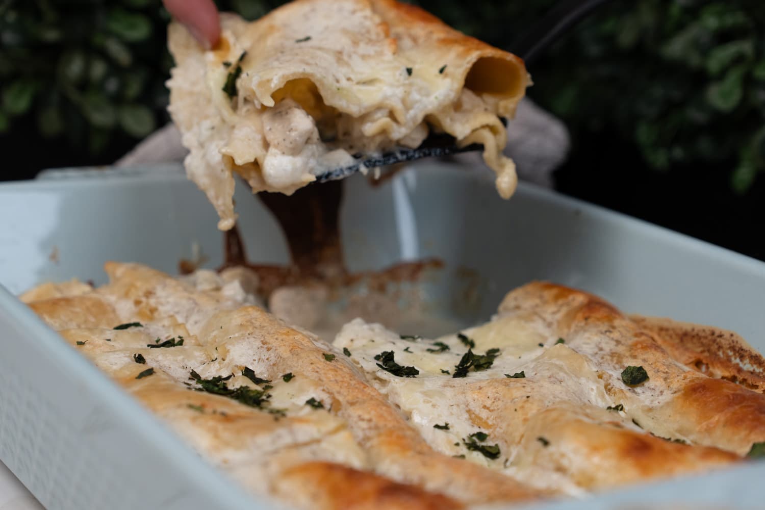 High Protein Chicken Alfredo Lasagne